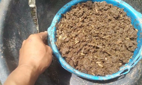 洁阴灵洗剂用完要用清水洗吗、洁阴灵洗剂用完要用清水洗吗 -洁阴灵洗剂说明书网